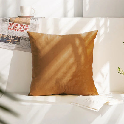 Cushion Cover Velvet Decorative Pillowcase for Sofa Living Room Car Housse De Coussin 45*45 Decorative Pillow Cover